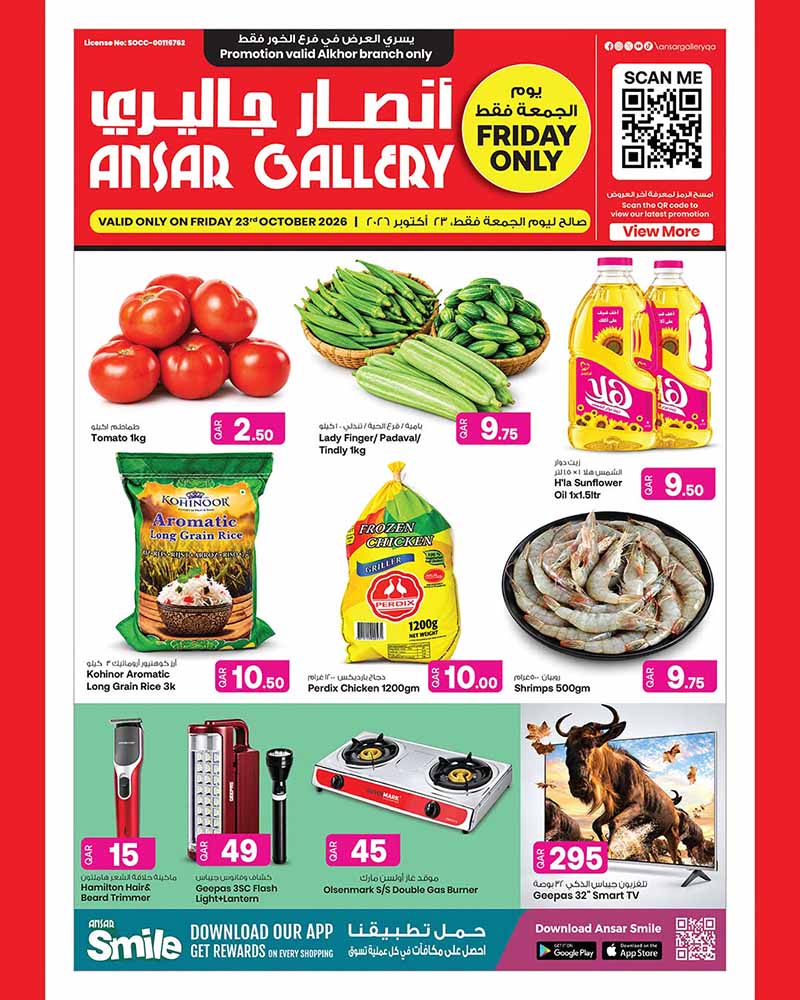 Ansar Gallery flyer