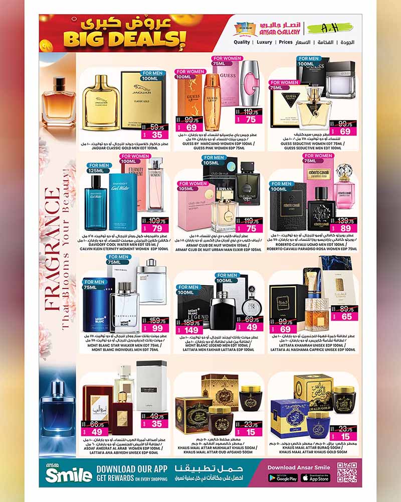 Ansar Gallery Qatar offers — Ansar Gallery BIG DEALS ON GROCERY, ELECTRONICS, TECH and more (Electronics, Groceries), flyer page 13 of 42