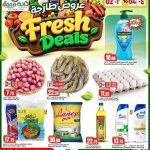 Dana Hypermarket Nuaija and Salwa 3 DAYS FRESH DEALS flyer