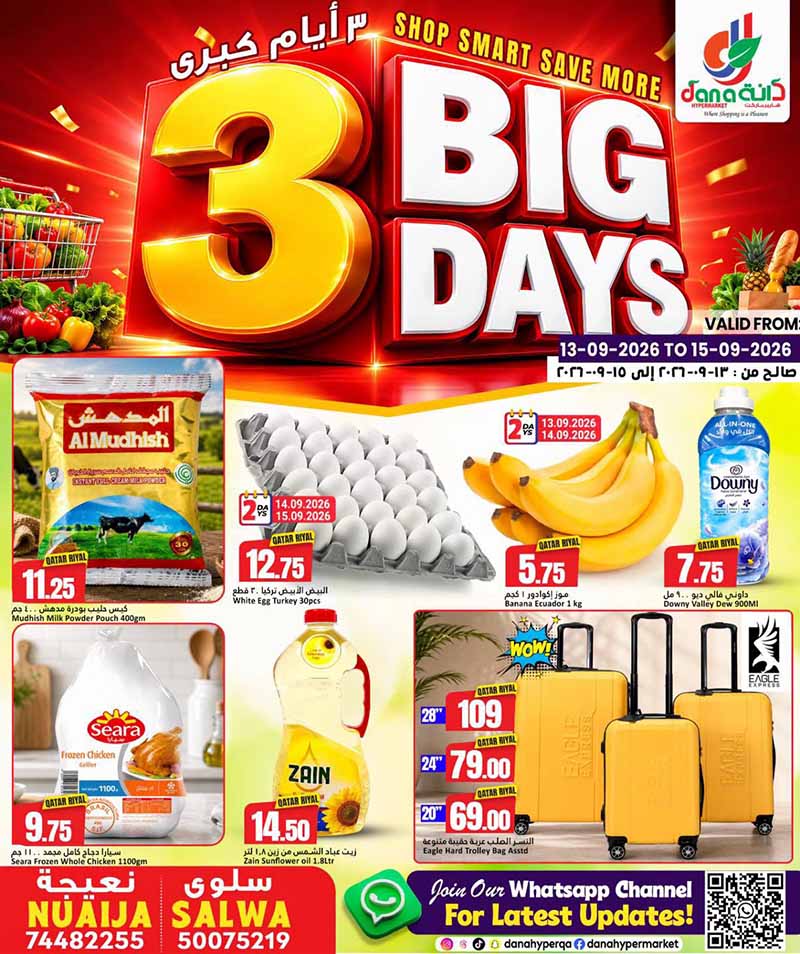 Dana Hypermarket Qatar offers — Dana Hypermarket Nuaija & Salwa 3 BIG DAYS (Groceries), flyer page 1 of 9