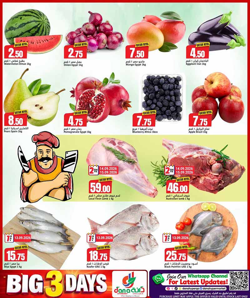 Dana Hypermarket Qatar offers — Dana Hypermarket Nuaija & Salwa 3 BIG DAYS (Groceries), flyer page 2 of 9