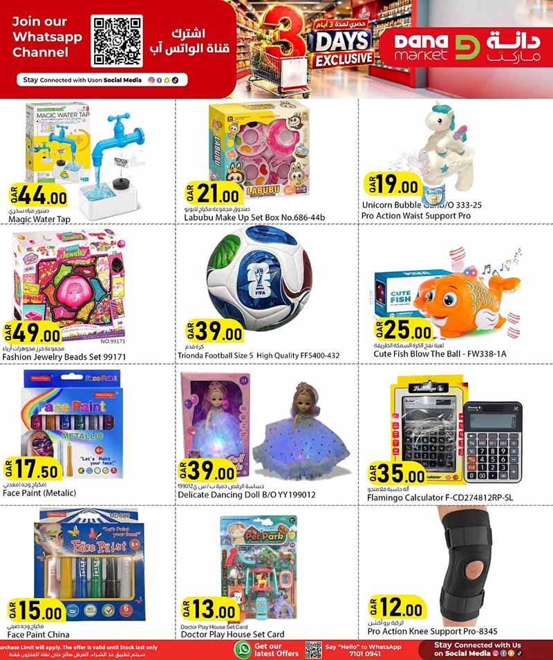 Dana Market Qatar offers — Dana Market 3 DAYS EXCLUSIVE OFFERS (Groceries), flyer page 13 of 18