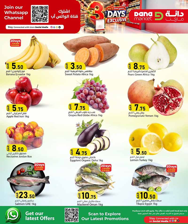 Dana Market Qatar offers — Dana Market 3 DAYS EXCLUSIVE OFFERS (Groceries), flyer page 2 of 18