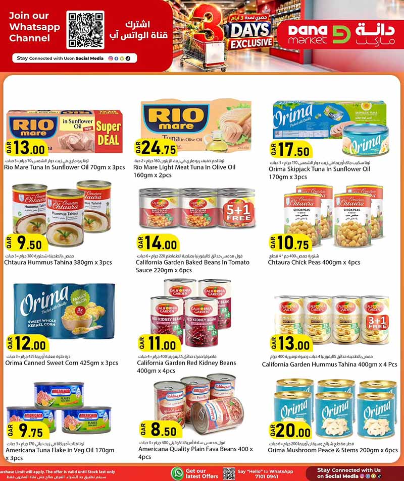 Dana Market Qatar offers — Dana Market 3 DAYS EXCLUSIVE OFFERS (Groceries), flyer page 9 of 18