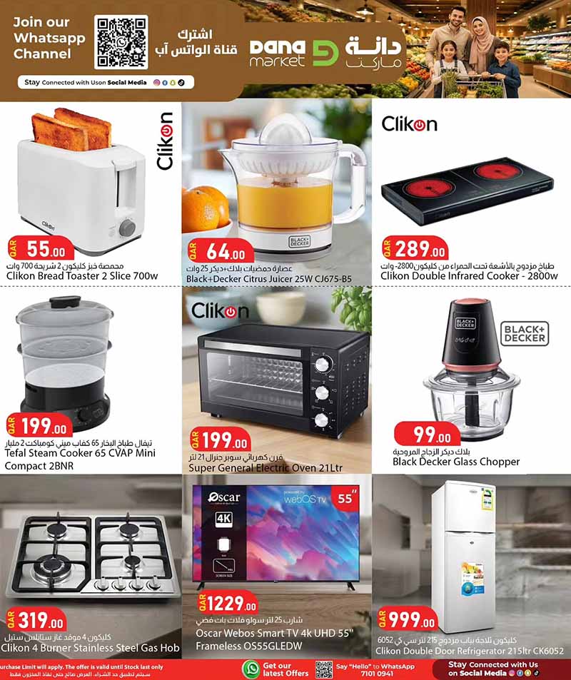 Dana Market Qatar offers — Dana Market 3 DAYS ONLY (Groceries), flyer page 16 of 17