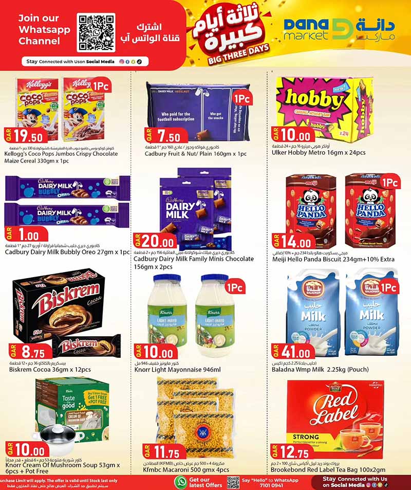 Dana Market Qatar offers — Dana Market BIG THREE DAYS (Groceries), flyer page 8 of 16