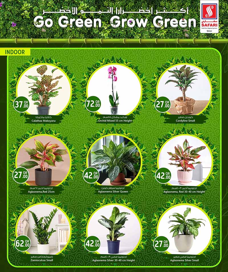 Safari Hypermarket Qatar offers — Safari Hypermarket GO GREEN GROW GREEN (Groceries), flyer page 10 of 15