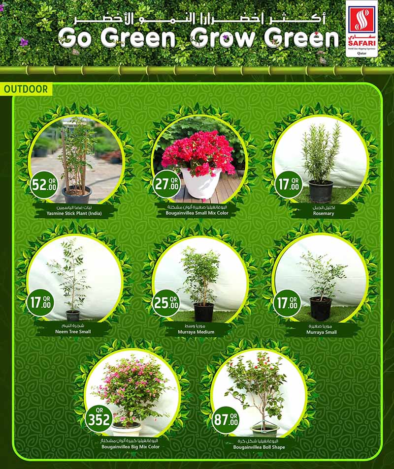 Safari Hypermarket Qatar offers — Safari Hypermarket GO GREEN GROW GREEN (Groceries), flyer page 2 of 15