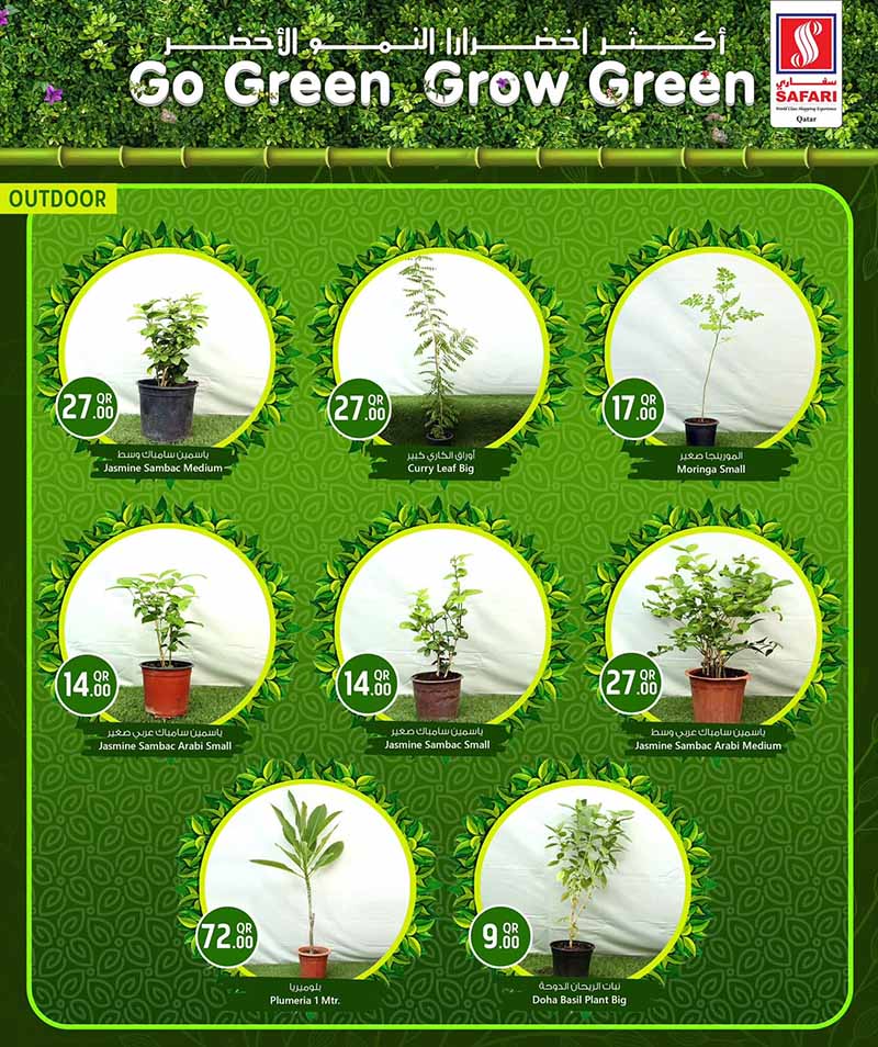 Safari Hypermarket Qatar offers — Safari Hypermarket GO GREEN GROW GREEN (Groceries), flyer page 3 of 15