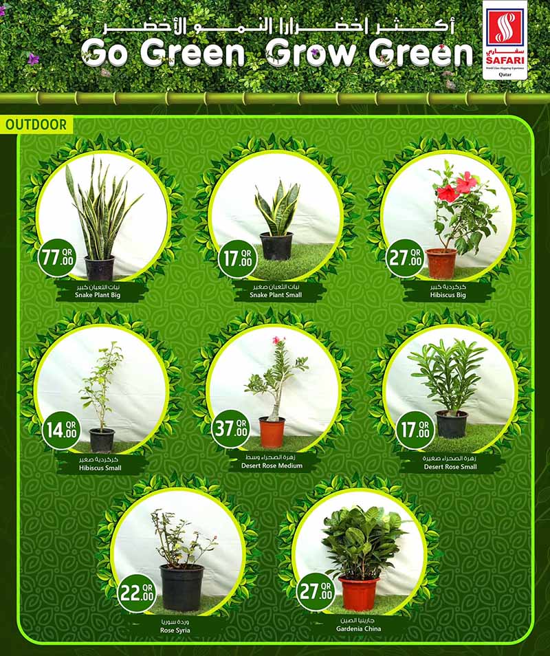 Safari Hypermarket Qatar offers — Safari Hypermarket GO GREEN GROW GREEN (Groceries), flyer page 4 of 15