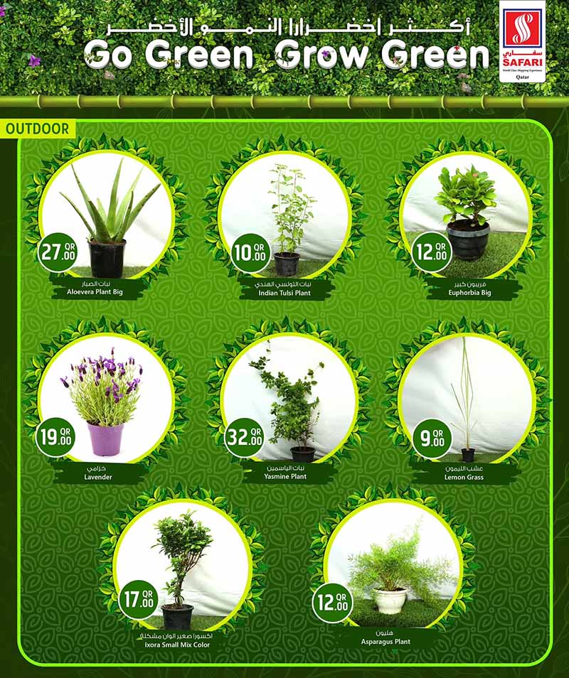 Safari Hypermarket Qatar offers — Safari Hypermarket GO GREEN GROW GREEN (Groceries), flyer page 5 of 15