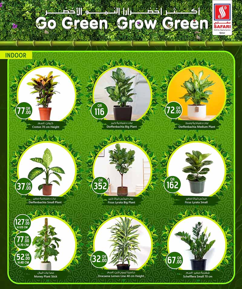 Safari Hypermarket Qatar offers — Safari Hypermarket GO GREEN GROW GREEN (Groceries), flyer page 8 of 15