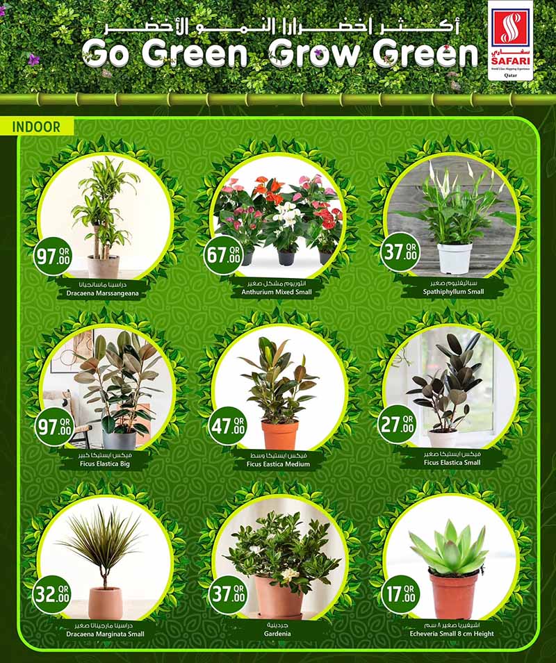 Safari Hypermarket Qatar offers — Safari Hypermarket GO GREEN GROW GREEN (Groceries), flyer page 9 of 15